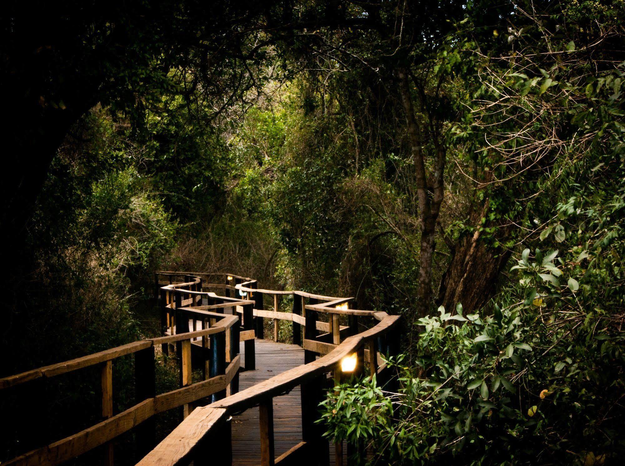 שלושלואי Gooderson Dumazulu Lodge מראה חיצוני תמונה